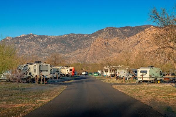 RVs line the campground at Catalina State Park in Tucson